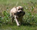 20140810-shl-0372
