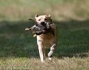 20140810-shl-0381