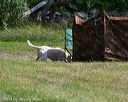 20140810-shl-0399