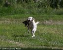 20140810-shl-0404