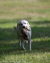 20140810-shl-0410