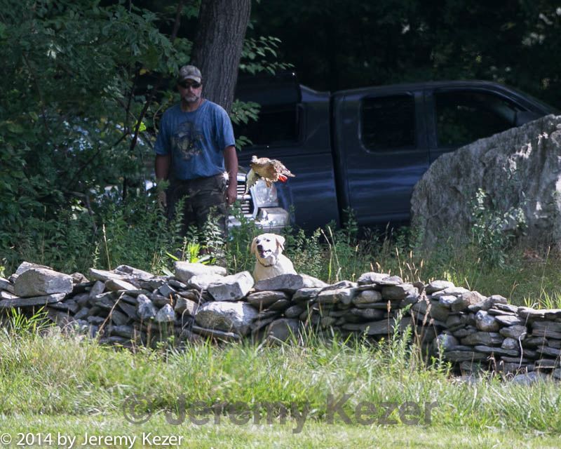 20140810-shl-0388.jpg