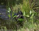 20140810-shw-0031