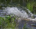 20140810-shw-0038
