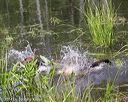 20140810-shw-0071