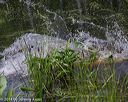 20140810-shw-0073