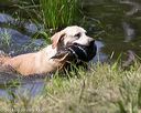 20140810-shw-0101