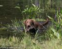 20140810-shw-0174