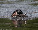 20140810-shw-0186