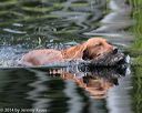 20140810-shw-0217