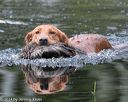 20140810-shw-0219