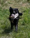 20140810-shw-0283