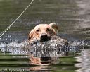 20140810-shw-0327