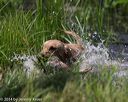 20140810-shw-0333