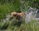 20140810-shw-0334