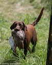 20140810-shw-0363