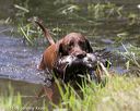 20140810-shw-0380