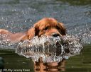 20140810-shw-0389