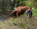 20140810-shw-0439