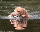 20140810-shw-0450