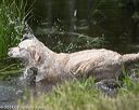 20140810-shw-0474