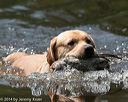 20140810-shw-0507
