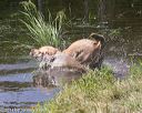 20140810-shw-0510