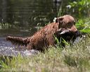 20140810-shw-0539
