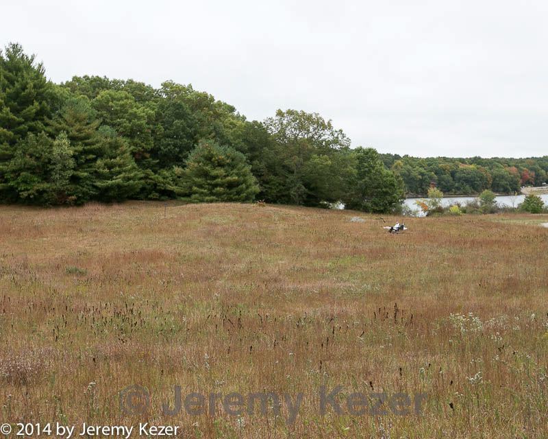 20141004-c-0009.jpg