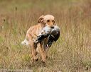20141004-wcl-0063