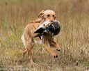 20141004-wcl-0064