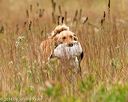 20141004-wcl-0068