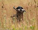 20141004-wcl-0105