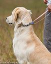 20141004-wcl-0118