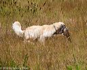 20141004-wcl-0127