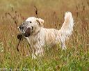 20141004-wcl-0136