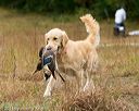 20141004-wcl-0150