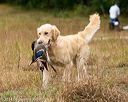 20141004-wcl-0151