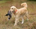 20141004-wcl-0153