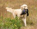 20141004-wcl-0161