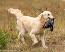 20141004-wcl-0163