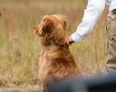 20141004-wcl-0168
