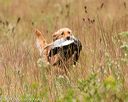 20141004-wcl-0179