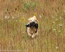 20141004-wcl-0193