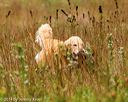 20141004-wcl-0203