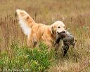 20141004-wcl-0208