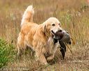 20141004-wcl-0210