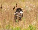 20141004-wcl-0236