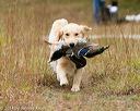 20141004-wcl-0256