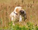 20141004-wcl-0266